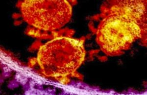 Variante Deltacron podría ser “error de laboratorio”: científicos