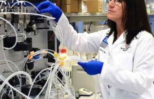 Crean una vacuna contra covid-19 libre de patente