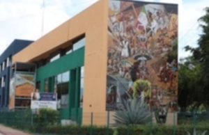 Gestiona UNICACH propiedad intelectual de productos académicos