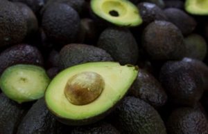 Investigan amenazas que causaron prohición de entrada de aguacate a EU
