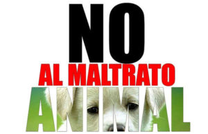 Maltrato animal al Código Penal