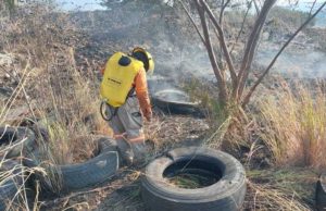 Autoridades municipales de Tuxtla emiten recomendaciones ante frente frío 28