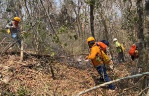 Quema de basura, principal causa de incendios urbanos en Tuxtla