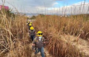 Sistema Estatal y Municipal de Protección Civil trabajan en brechas cortafuegos