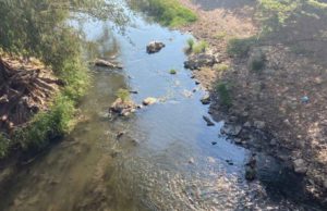 Inicia segunda etapa de limpieza del río Sabinal