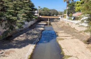 Concluyen trabajos de limpieza y desazolve en el primer tramo del río Sabinal