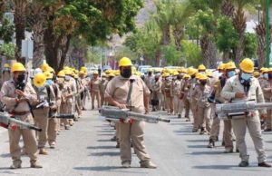 Chiapas, sin registro de defunciones por dengue