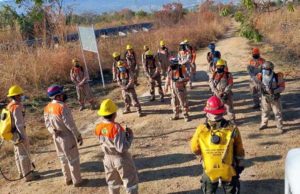 Disminuyen hasta un 50 % los incendios urbanos
