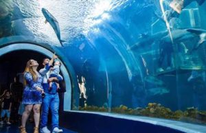 El gobierno de Veracruz toma control del acuario