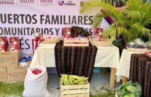 Rutilio Escandón arranca Proyectos de Huertos Familiares Comunitarios desde Tonalá
