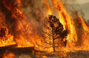 Chiapas, sexto lugar nacional en incendios forestales