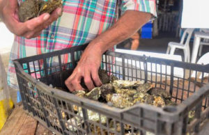 Mueren dos niños intoxicados por comer moluscos en Tapachula, Chiapas