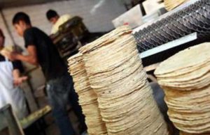 Estos son los precios del kilo de tortilla en los estados