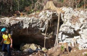 Entregan evaluación sobre impacto ambiental para el polémico Tramo 5 Sur del Tren Maya