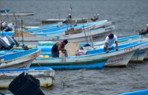 Pescadores de moluscos detienen actividades por marea roja