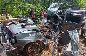 Mueren tres personas en Chiapas por caída de un árbol tras fuertes lluvias provocadas por “Celia”