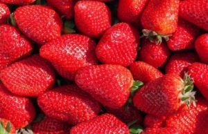 EU alerta sobre brote de hepatitis A en fresas cultivadas en México