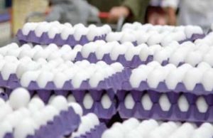 Influenza aviar y el calor disparan precio del huevo