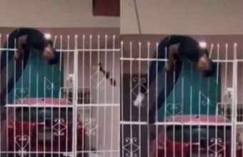 Ladrón intenta robar casa y queda ensartado en reja; vecinos le hacen “live”