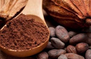 Día Mundial del Cacao