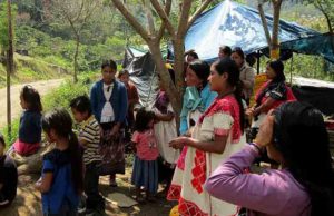 Crimen organizado, otro factor de desplazamiento forzado en Chiapas