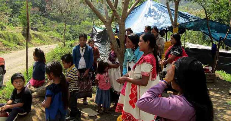 Crimen organizado, otro factor de desplazamiento forzado en Chiapas