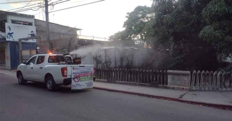 Avanza fumigación anti mosquitos transmisores de enfermedades como Dengue, Zika y Chikungunya