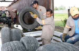 Destaca Salud Municipal importantes resultados en 13 jornadas de descacharrización en Tuxtla