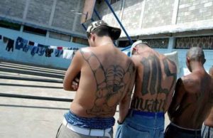Por qué EE.UU. no ha logrado erradicar la Mara Salvatrucha