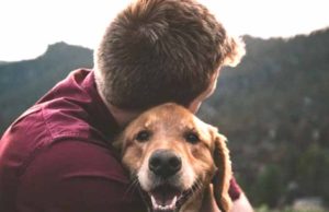 Día Mundial del Perro: por qué se celebra cada 21 de julio