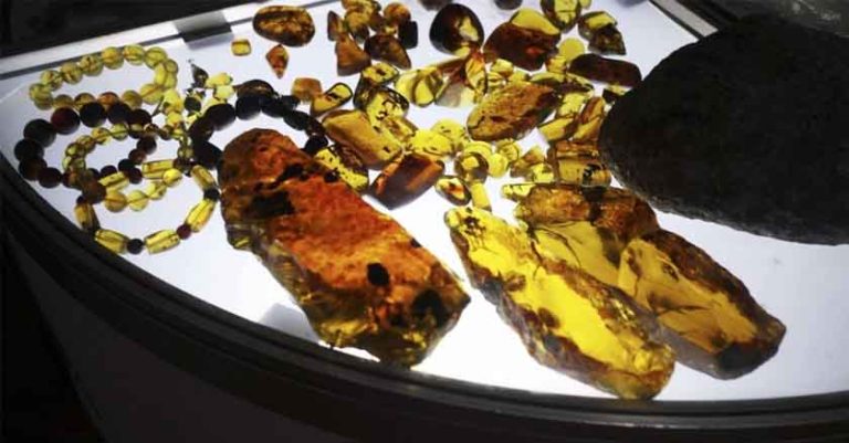 Lánzate a la Expo Ámbar Chiapas 2022 en la CDMX