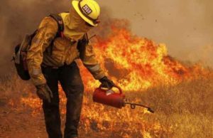 Día del bombero: ¿Cuánto ganan los trabajadores de México?