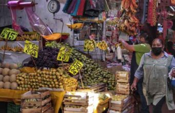 Oaxaca y Chiapas, estados donde las familias destinan mayor parte de su gasto a alimentos