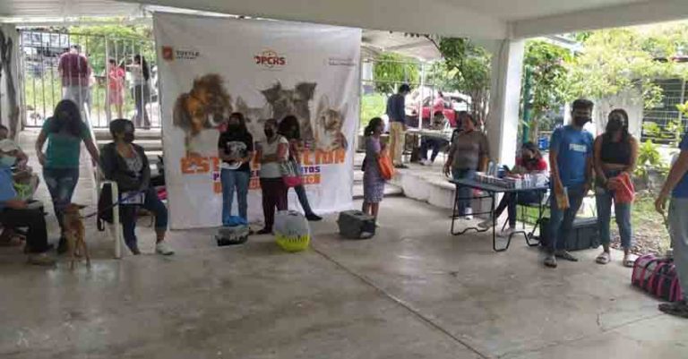 Ayuntamiento trabaja para evitar enfermedades zoonóticas y prevención de perros y gatos callejeros