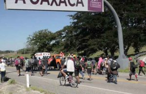 Migrantes salen este viernes de Chiapas a Oaxaca