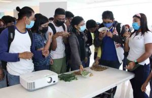 Universitarios de Mapastepec buscan sintetizar bioplástico