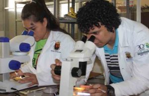 Ofrece UNICACH maestrías y doctorados de calidad