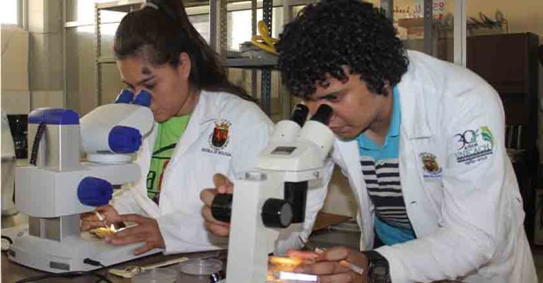 Ofrece UNICACH maestrías y doctorados de calidad