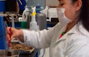 Otorga mayor reconocimiento el CONACYT a la UNICACH