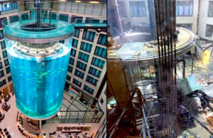 Revienta en Berlín el mayor acuario cilíndrico del mundo, que contenía 1.500 peces tropicales