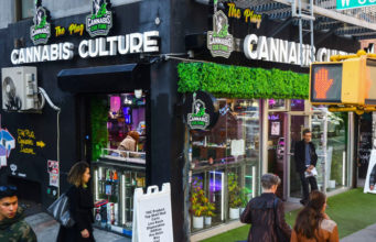 Nueva York, el gran supermercado legal de la marihuana
