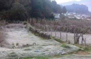 Registran temperaturas de hasta 5 grados en San Cristóbal de las Casas