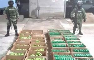En Chiapas, encuentran 213 kilos de cocaína en tráiler que transportaba plátano