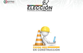 Relevos en el INE, estancados; diputados incumplen plazo y van por nuevas fechas