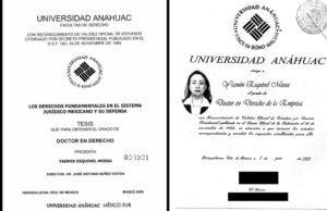 Ministra Yasmín Esquivel también plagió tesis de doctorado, reporta el diario ‘El País’
