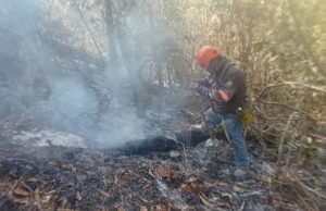 Controla Protección Civil Municipal incendio en el Cerro Mactumatzá