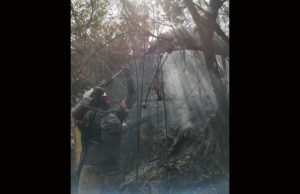 Más de 100 brigadistas combaten el incendio en el Cerro Mactumatza