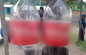 Alertan sobre refrescos de cola clonados en Chiapas