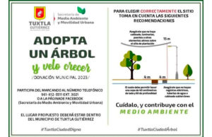El Ayuntamiento de Tuxtla Gutiérrez a través de la Secretaría de Medio Ambiente y Movilidad Urbana invita al público en general a sumarse a la campañas de donación y de adopción de árboles como parte del Programa Municipal de Reforestación 2023