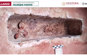 INAH descubre “interesante entierro” en Palenque durante obras del Tren Maya